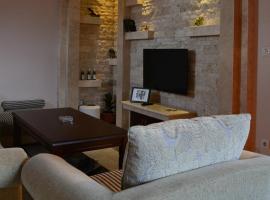 Apartmani Vila Zabljak，位于扎布利亚克的酒店