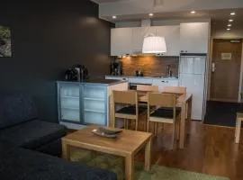 Vierumäki Chalets 4414