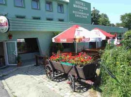 Hotel Śnieżnik，位于克沃兹科的酒店