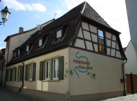 Ferienhaus Mainschleife，位于福尔卡赫的公寓
