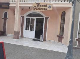 Hanul Pietrosul，位于Statiunea Borsa的酒店