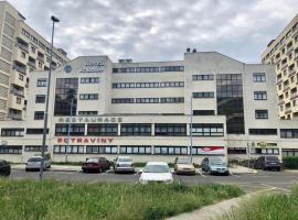Hotel Koldum，位于利特威诺夫的酒店