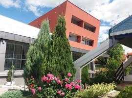 Garni Hotel Vidić，位于瓦列沃的酒店