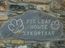 Fig Leaf House