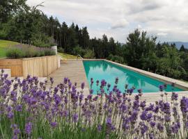 Lavender Hill, Eko Resort & Wellness，位于Polzela的带泳池的酒店