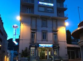 Hôtel Myosotis，位于卢尔德的酒店