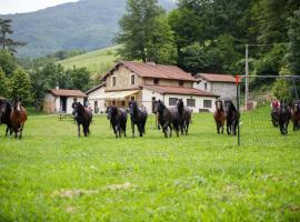 Agriturismo Carovane，位于Compiano的酒店