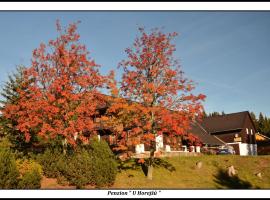Penzion U Horejšů, Zadov - Churáňov，位于Stachy的酒店