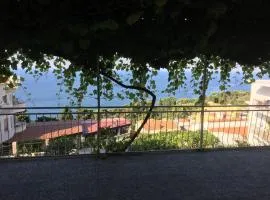 Villa GraNada
