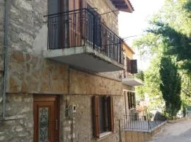 Πέτρινο δυόροφο Αρχοντικό στο Κέντρο της Χώρας.