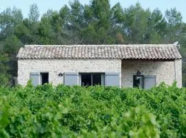 Les Lodges du Pic