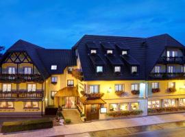 Best Western Plus Au cheval Blanc à Mulhouse，位于巴德尚的酒店