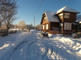 Casa Claudiu，位于默古拉的山林小屋