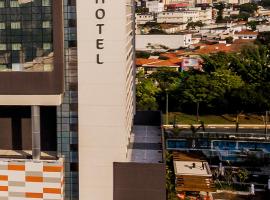 ibis budget Sao Bernardo do Campo，位于圣贝尔纳多-杜坎普的酒店