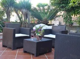 Orion Accomodation