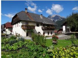 Lissis Bauernhof Appartments，位于Gundersheim的酒店