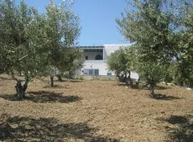 Kafkis House, Paros