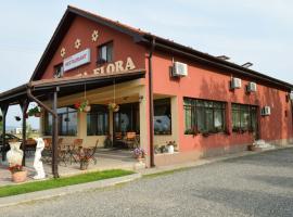 Pensiunea Flora，位于Cicir的酒店