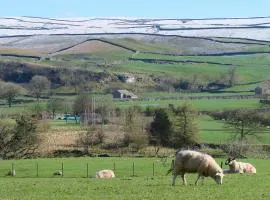Farfield