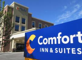 Comfort Inn & Suites Boise Airport，位于博伊西机场 - BOI附近的酒店