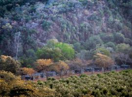 Lions Rock Rapids - Luxury Tented Camp，位于雾观的豪华帐篷营地