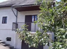 Котедж "Лісовий затишок"