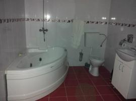 Hotel Palace，位于彼得罗沙尼的酒店