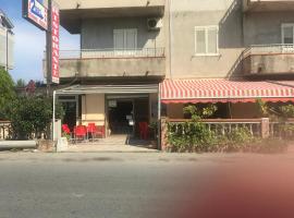 Bar ristorante hotel pizzeria 2001，位于布兰卡莱奥内码头的酒店