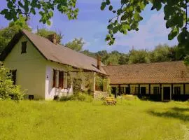 Casa Memoriala George Stephanescu