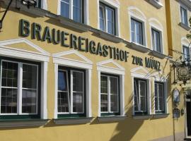 Brauereigasthof zur Münz seit 1586，位于金茨堡的酒店