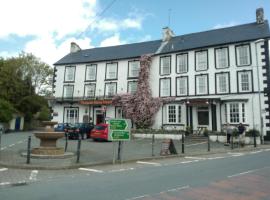 Neuadd Arms Hotel，位于勒兰蒂德威尔斯的酒店