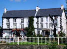 Neuadd Arms Hotel，位于勒兰蒂德威尔斯的宠物友好酒店