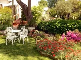 Van Dykshuis Guest House