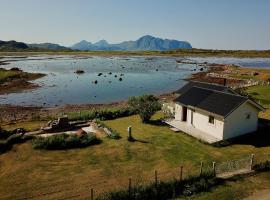 Bird View Lofoten，位于博斯塔德的乡村别墅