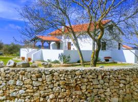 House Soni - 800 m from the sea，位于罗维尼的酒店
