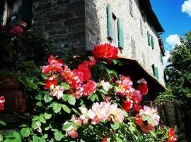 Podere I Rovai-apt IL RIFUGIO- in the heart of Tuscany