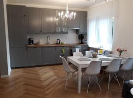 2 Bedroom City Center Apartment，位于卡托维兹MSWiA Hospital in Katowice附近的酒店