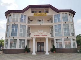 都铎酒店，位于德罗贝塔-塞维林堡的酒店