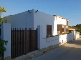 Triscina 83