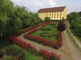 Hanul Moara cu Noroc，位于伊内乌的酒店