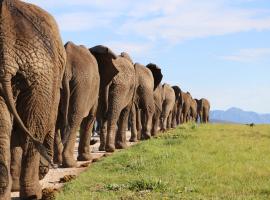 Knysna Elephant Park Lodge，位于普利登堡湾克兰舒克停车场附近的酒店