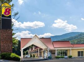 凯里维尔速8酒店，位于Caryville的酒店