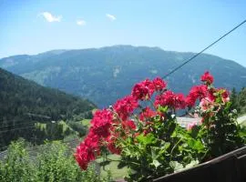 Two Bedroom Appartement near Bad Kleinkirchheim