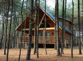 The Cabins at Pine Haven - Beckley，位于Beaver贝克利罗利县会议中心附近的酒店