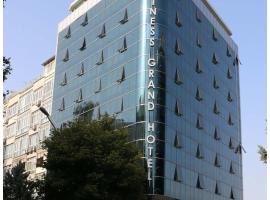 Business Grand Hotel，位于安卡拉的酒店