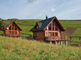 Winter & Summer - Chalets，位于兹蒂尔的山林小屋