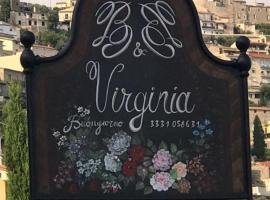 B&B VIRGINIA，位于蒙泰圣比亚焦的酒店