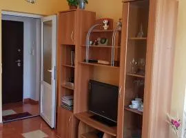 Apartament Gabriela