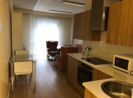 Apartamentos Villava Pamplona，位于比利亚瓦的公寓