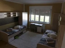Trendy apartmant in city